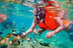 Gambar-WhatsApp-2024-07-17-pukul-13.54.14_8ce58570