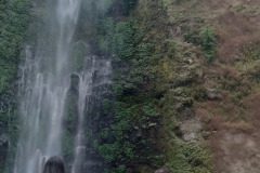 IMG-20240819-WA0039